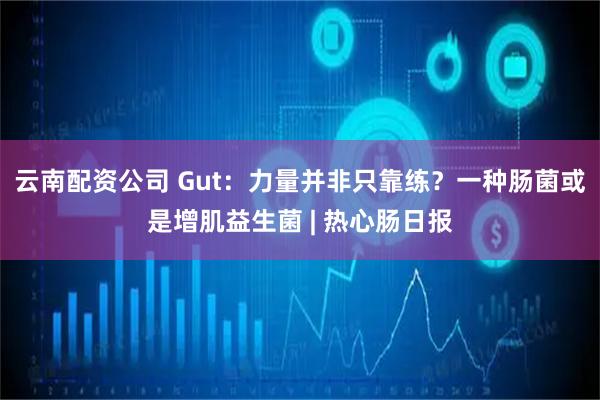云南配资公司 Gut：力量并非只靠练？一种肠菌或是增肌益生菌 | 热心肠日报