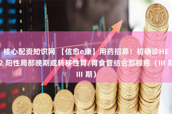 核心配资知识网 【信愈e康】用药招募!初确诊HER2 阳性局部晚期或转移性胃/胃食管结合部腺癌(Ⅲ 期)